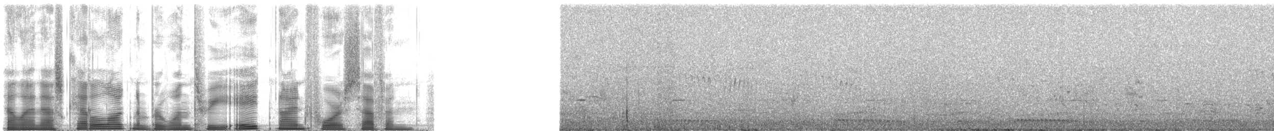 Голкохвіст плямистоволий - ML138947