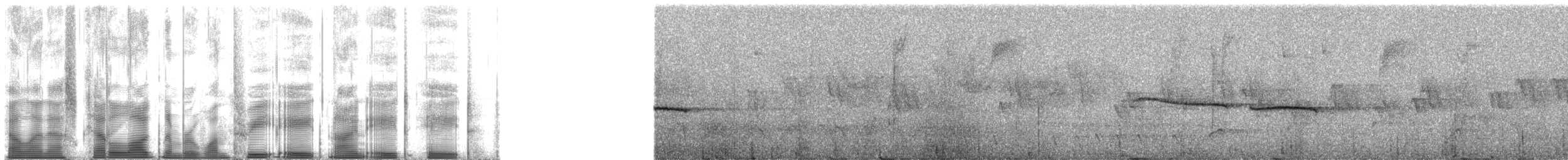 rimbryntanagar (taeniata) - ML138988