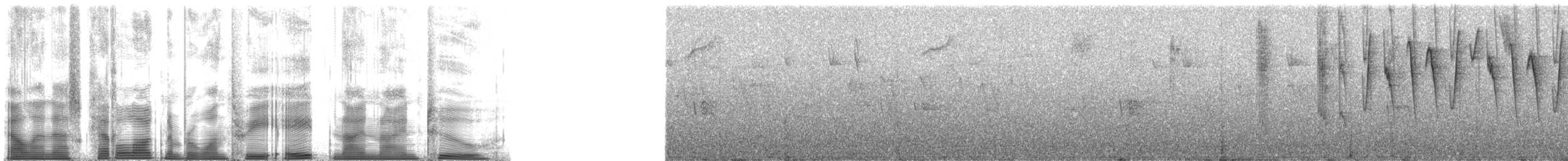 Kurzschwanz-Dickichtschlüpfer (gularis) - ML138992