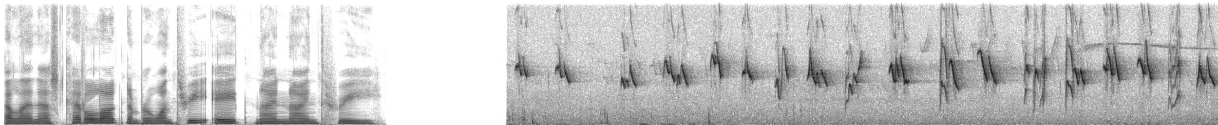 Stahlhakenschnabel - ML138993