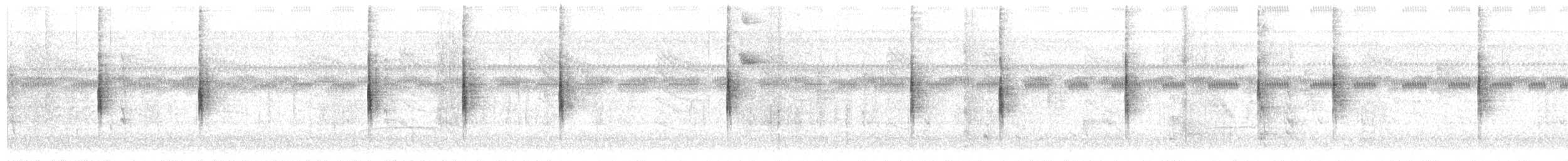 MacGillivray's Warbler - ML139007381