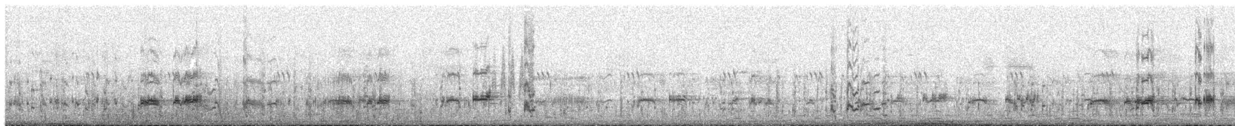 Western Grebe - ML139116041