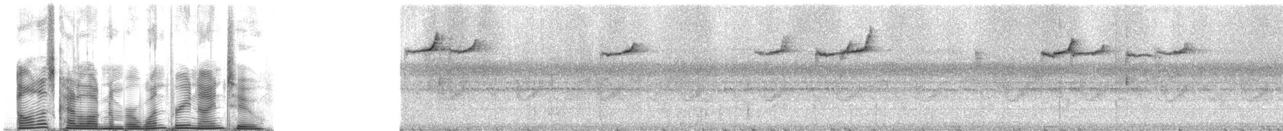 Green-backed Twinspot - ML1392