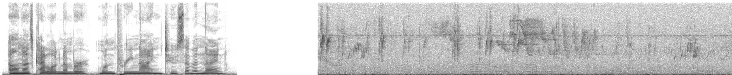 Pacific Parrotlet - ML139279