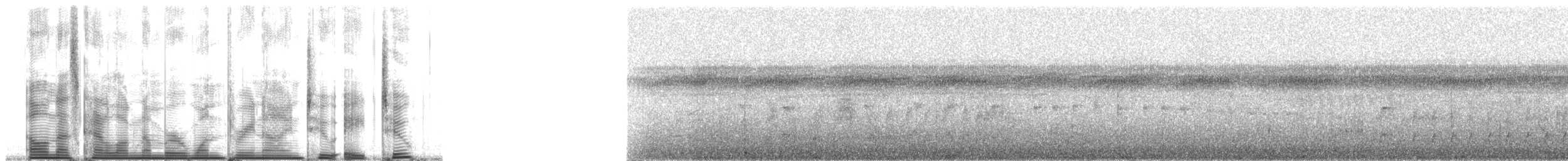 Оринокская иглохвостка - ML139282