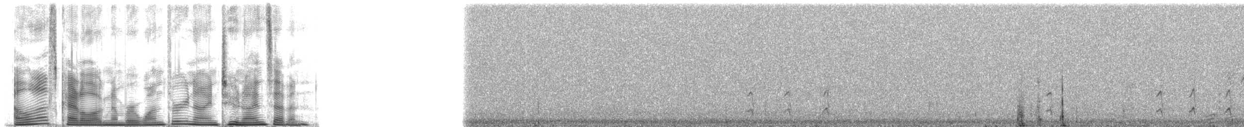 Hispaniolan Pewee - ML139297