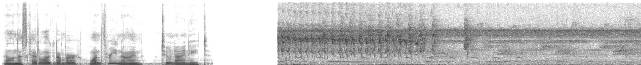 Orinoco Softtail - ML139298