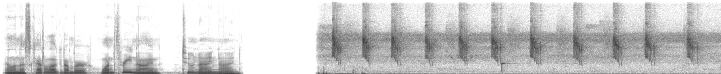 Orinoco Softtail - ML139299