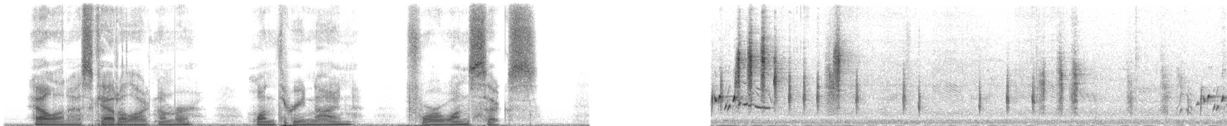 Ak Karınlı Çıtkuşu [leucogastra grubu] - ML139416