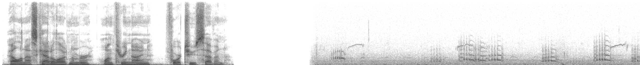 jeřáb kanadský (ssp. tabida/rowani) - ML139427