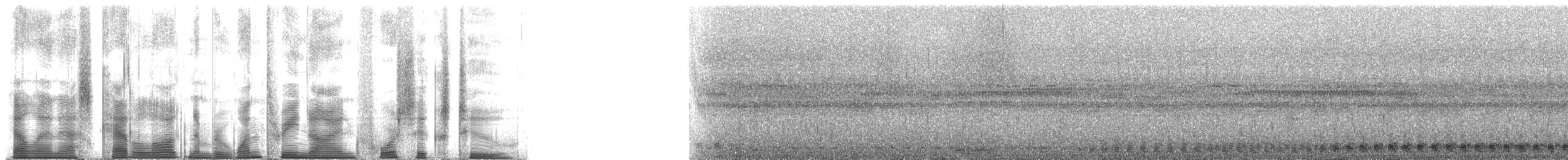 Cane Toad - ML139462