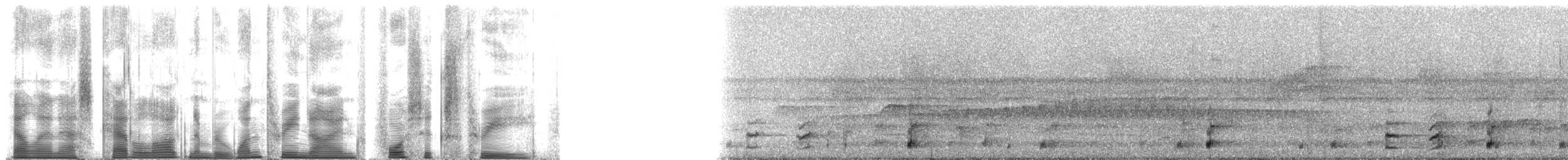 Peter's Jungle Frog - ML139463