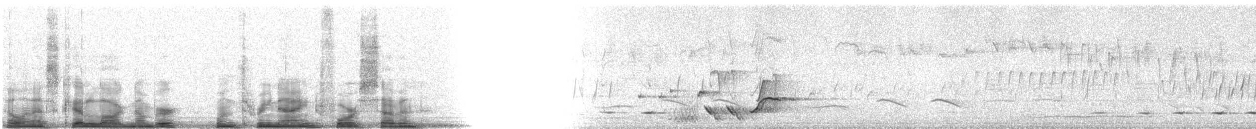 Gray Shrikethrush - ML13947