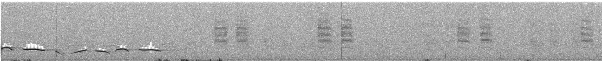 svartkronesjagra (senegalus gr.) - ML139490611