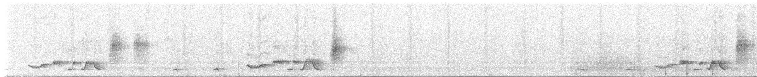 Shama à croupion blanc (groupe malabaricus) - ML139499