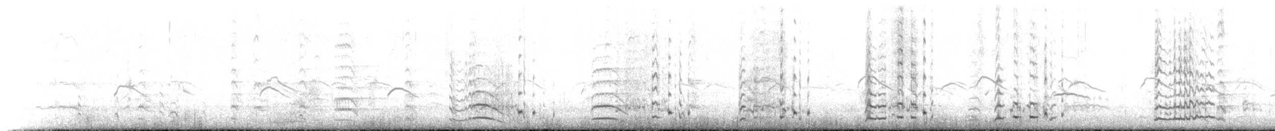 potápka stříbřitá (ssp. juninensis) - ML139501861