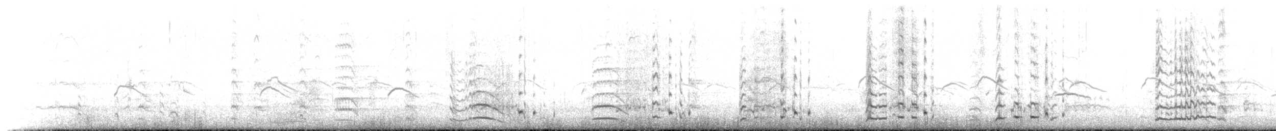 sølvdykker (juninensis) - ML139501861