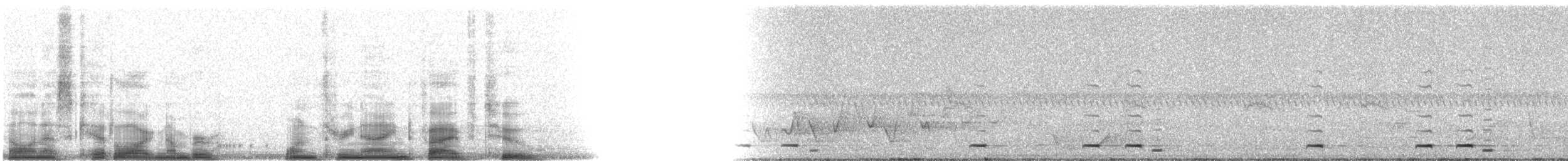 Tepeli Zilkuşu - ML13952
