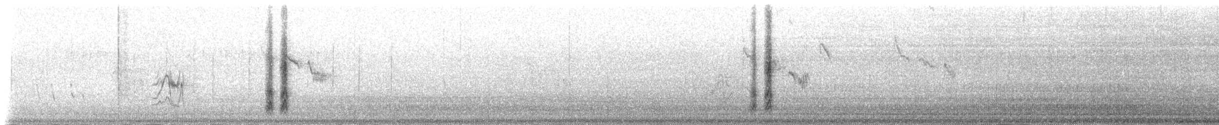 maghrebskjære - ML139520921