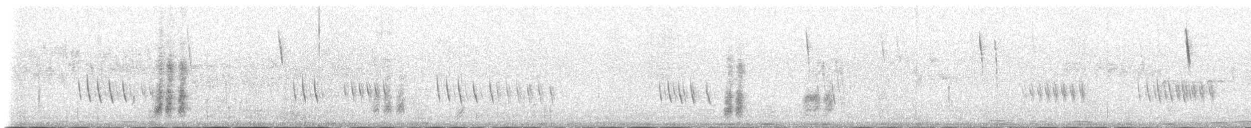 maghrebskjære - ML139521431