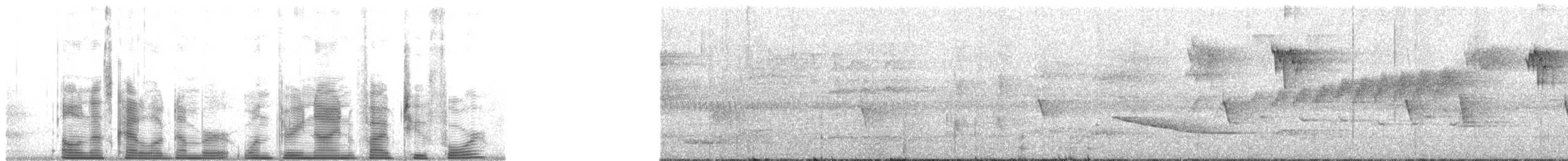 Black-breasted Boatbill - ML139524