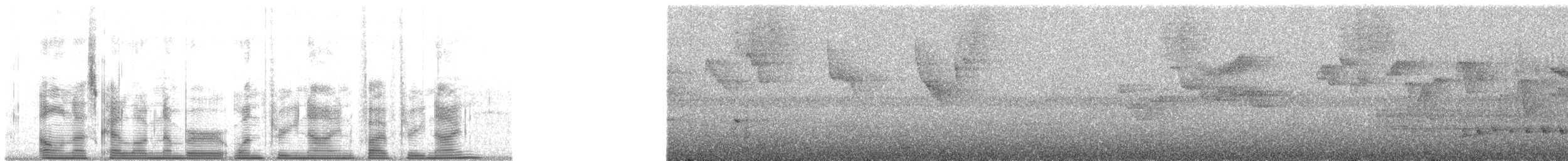 Дивоптах-серподзьоб східний - ML139539