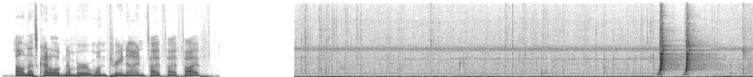 svartsigdnebb - ML139555