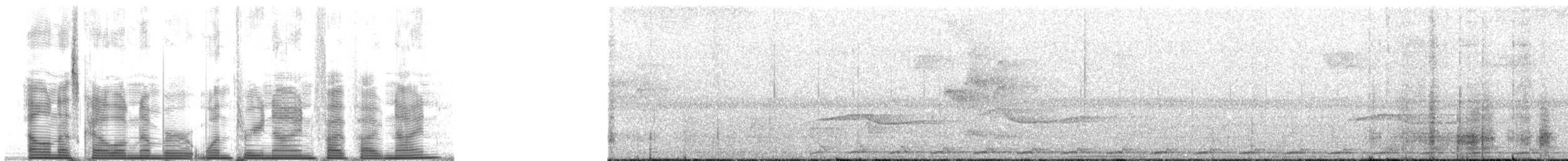 holub novoguinejský - ML139559