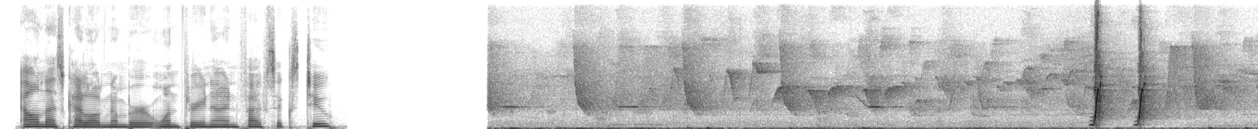 svartsigdnebb - ML139562
