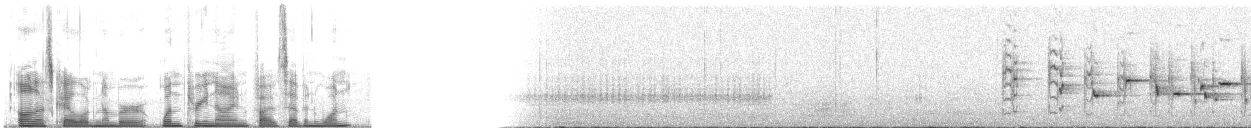 Kısa Gagalı Katmerkuyruk - ML139571
