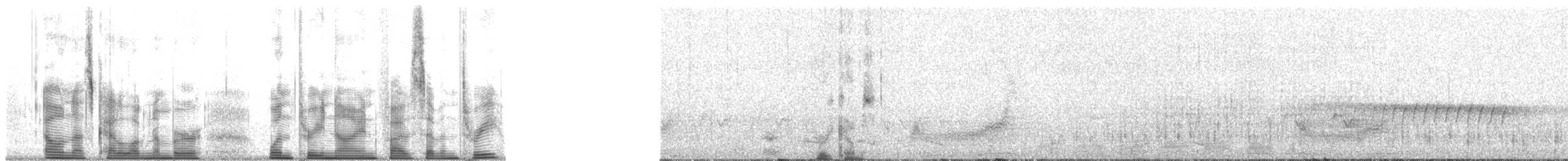 sluka novoguinejská - ML139573