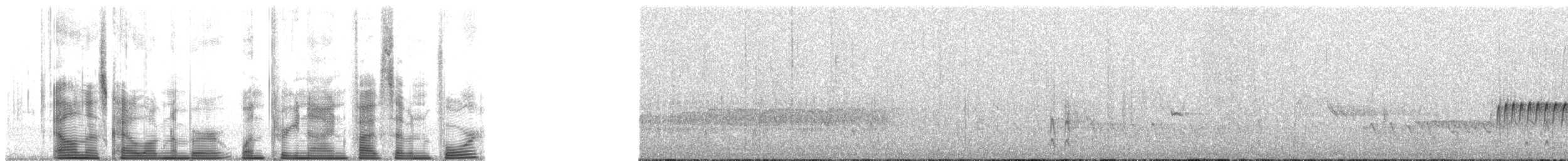 Королець-чернець білокрилий - ML139574