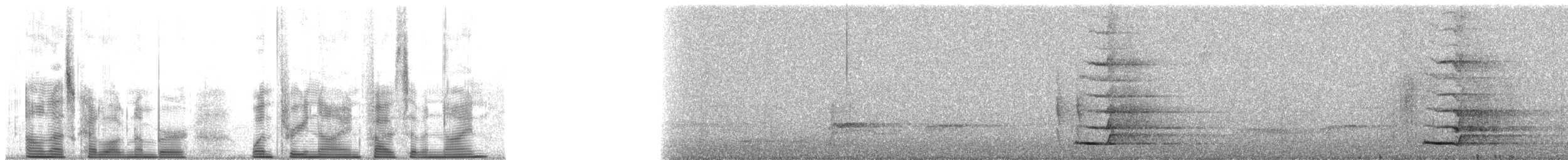 Синелицый медосос - ML139579