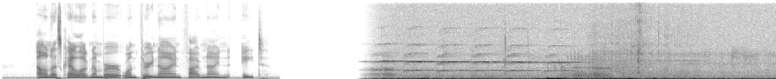Хуонский медосос - ML139598