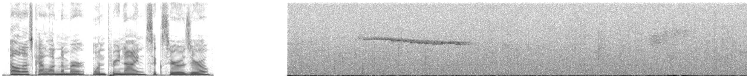 Королець-чернець білокрилий - ML139600