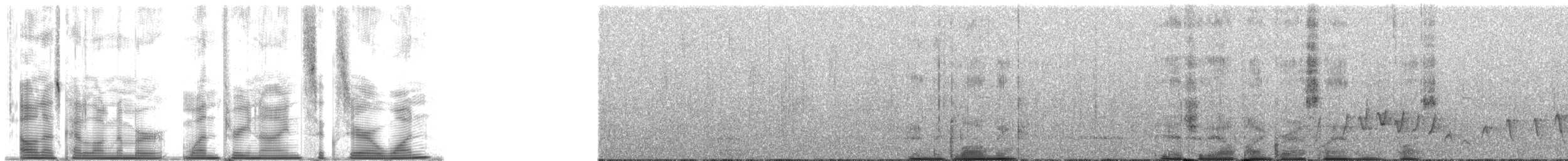 Dumanlı Balkuşu - ML139601