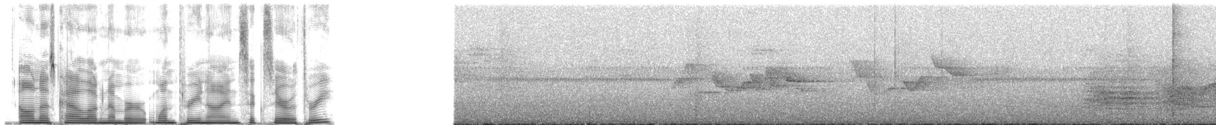 Strahlenparadiesvogel - ML139603