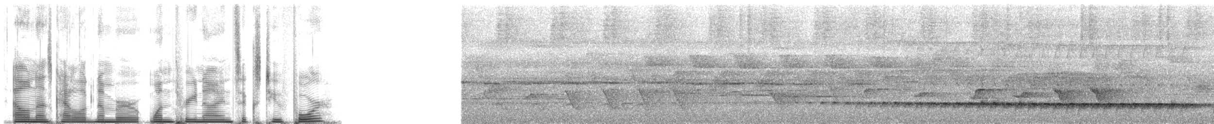 Дивоптах-серподзьоб східний - ML139624