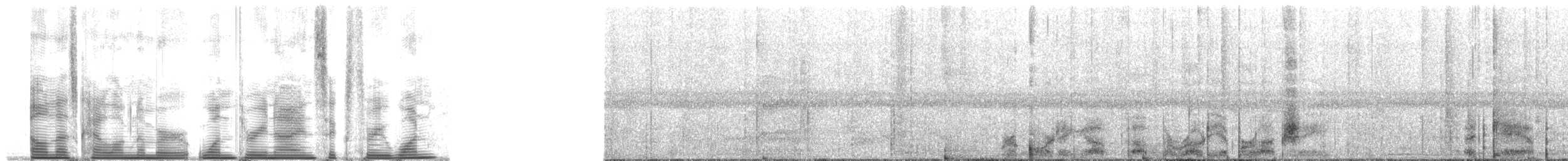 Berlepschparadiesvogel - ML139631