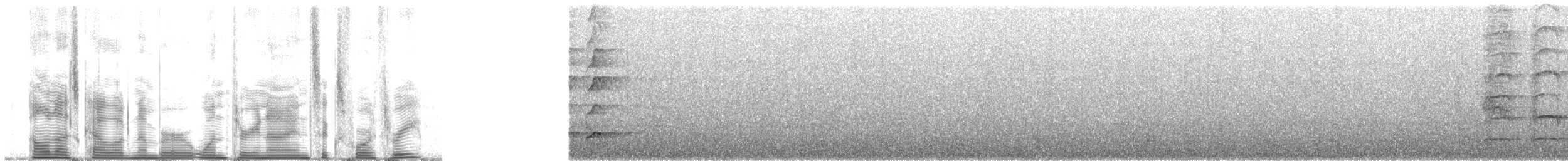 Belford's Melidectes - ML139643