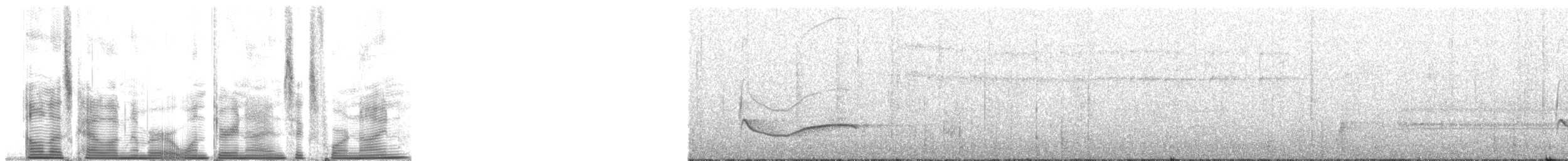 Gray-streaked Honeyeater - ML139649