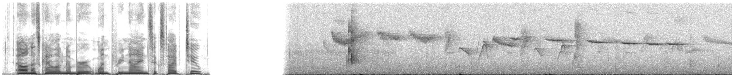 Lesser Melampitta - ML139652