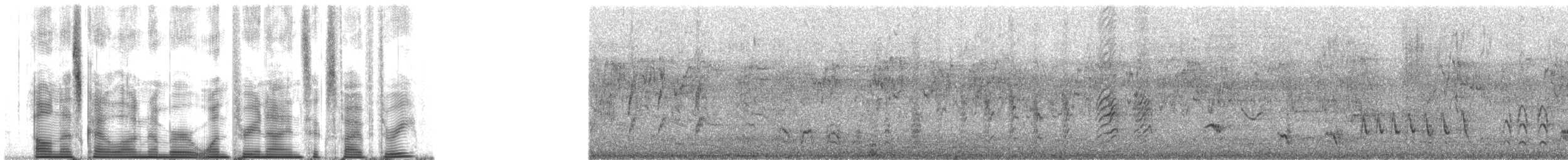 Riesenschwalbenstar - ML139653