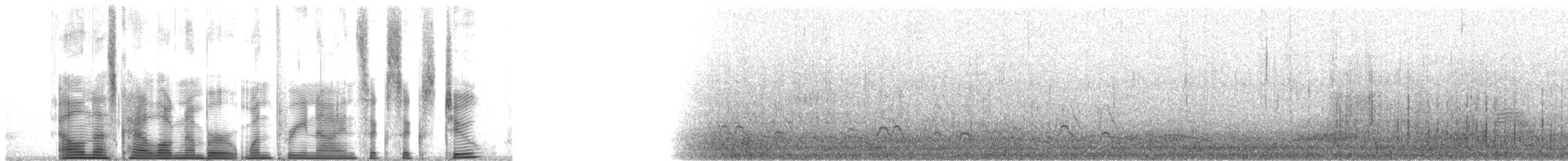Bufflehead - ML139662