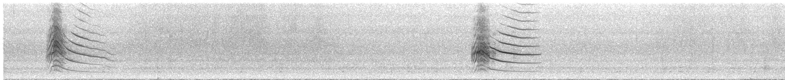 Канюк великодзьобий [група magnirostris] - ML139672231