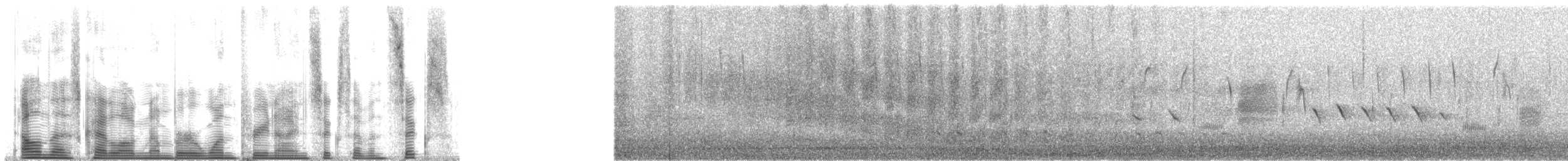Турпан горбатодзьобий - ML139676