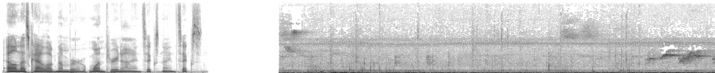 Südseedrossel (tempesti) - ML139696