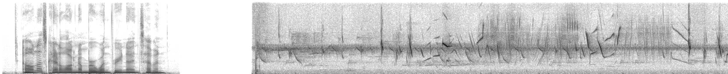 Malimbe de Cassin - ML1397