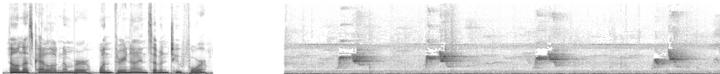 Northern Wattled-Honeyeater - ML139724