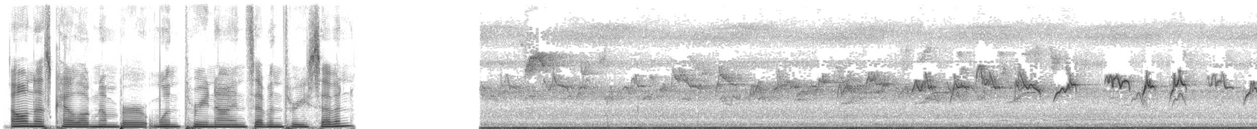 Graumantel-Brillenvogel - ML139737